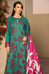 Wil 0047 Rang Rasiya Dhanak With Printed Wool shawl